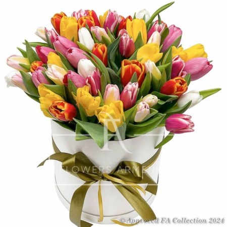 Tulip Song