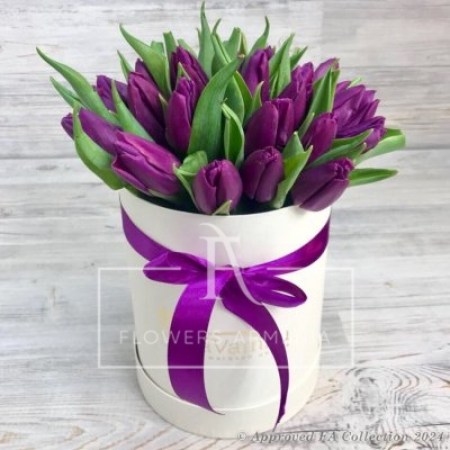Passionate Purple Tulips