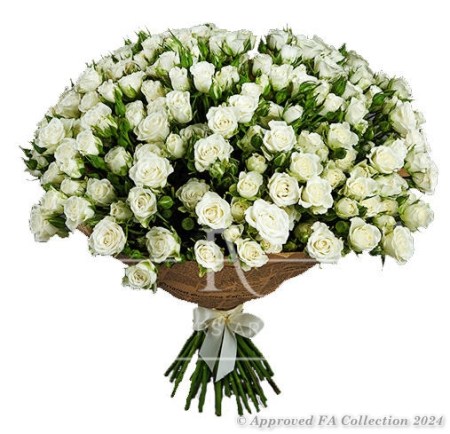 White Spray Roses