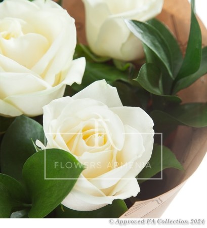 White Tenderness