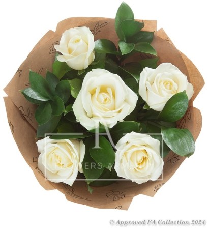 White Tenderness