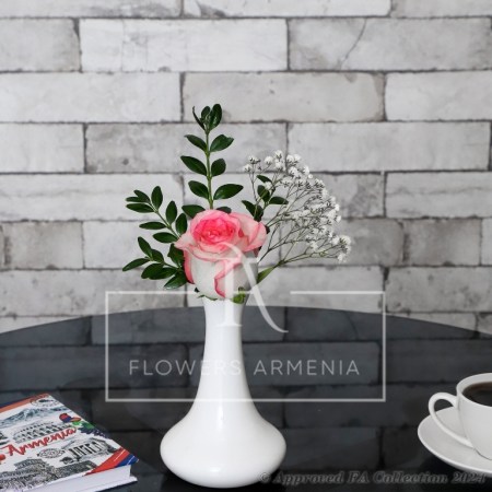 Romance Rose Reflections