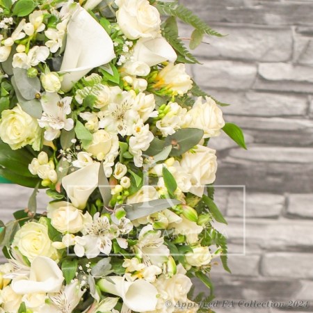 Gentle Remembrance