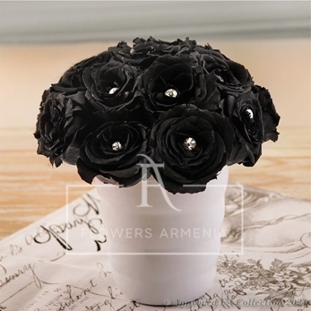 Black Magic Rose