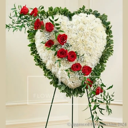 Vibrant Remembrance