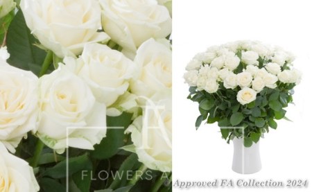 Just White Roses