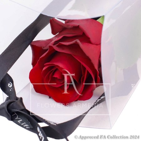 Romantic Gift