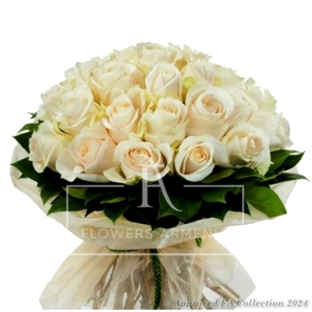 White Glory Roses