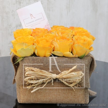 Orange Roses