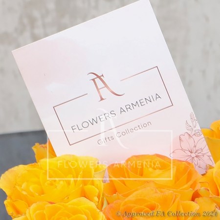 Orange Roses